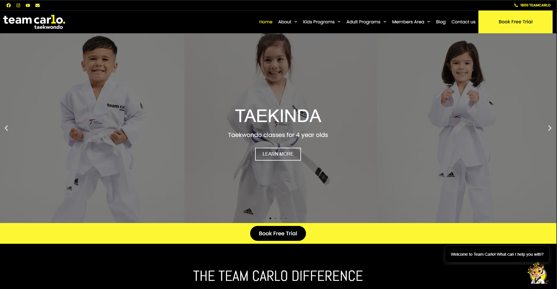 Team Carlo Taekwondo website screenshot